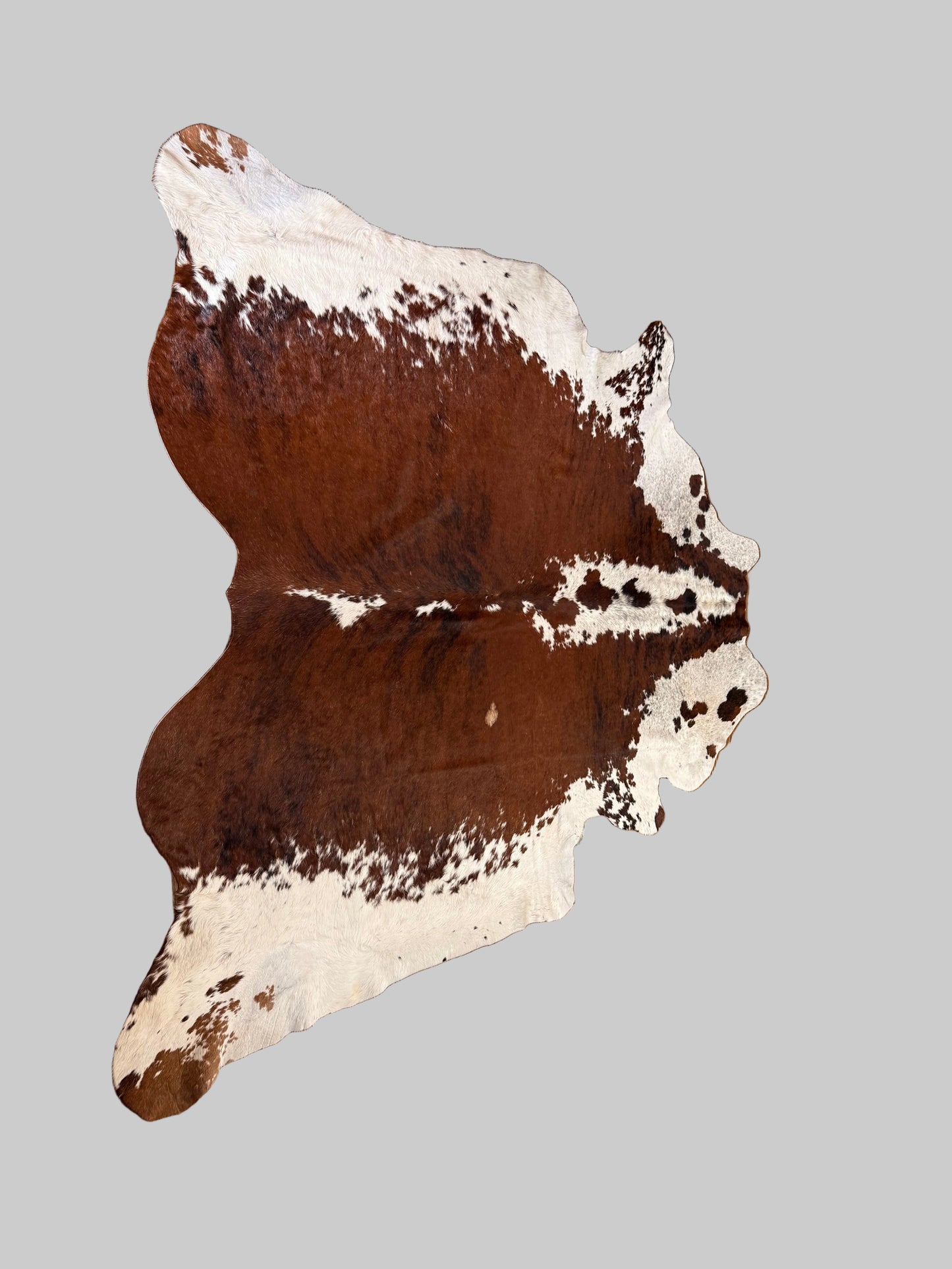 Brown and White Cowhide