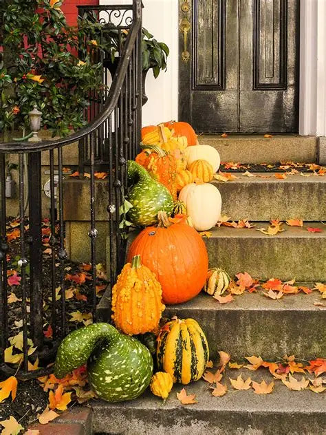 Petite Pumpkin Package