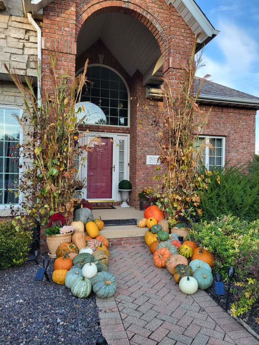 Perfect Pumpkin Package