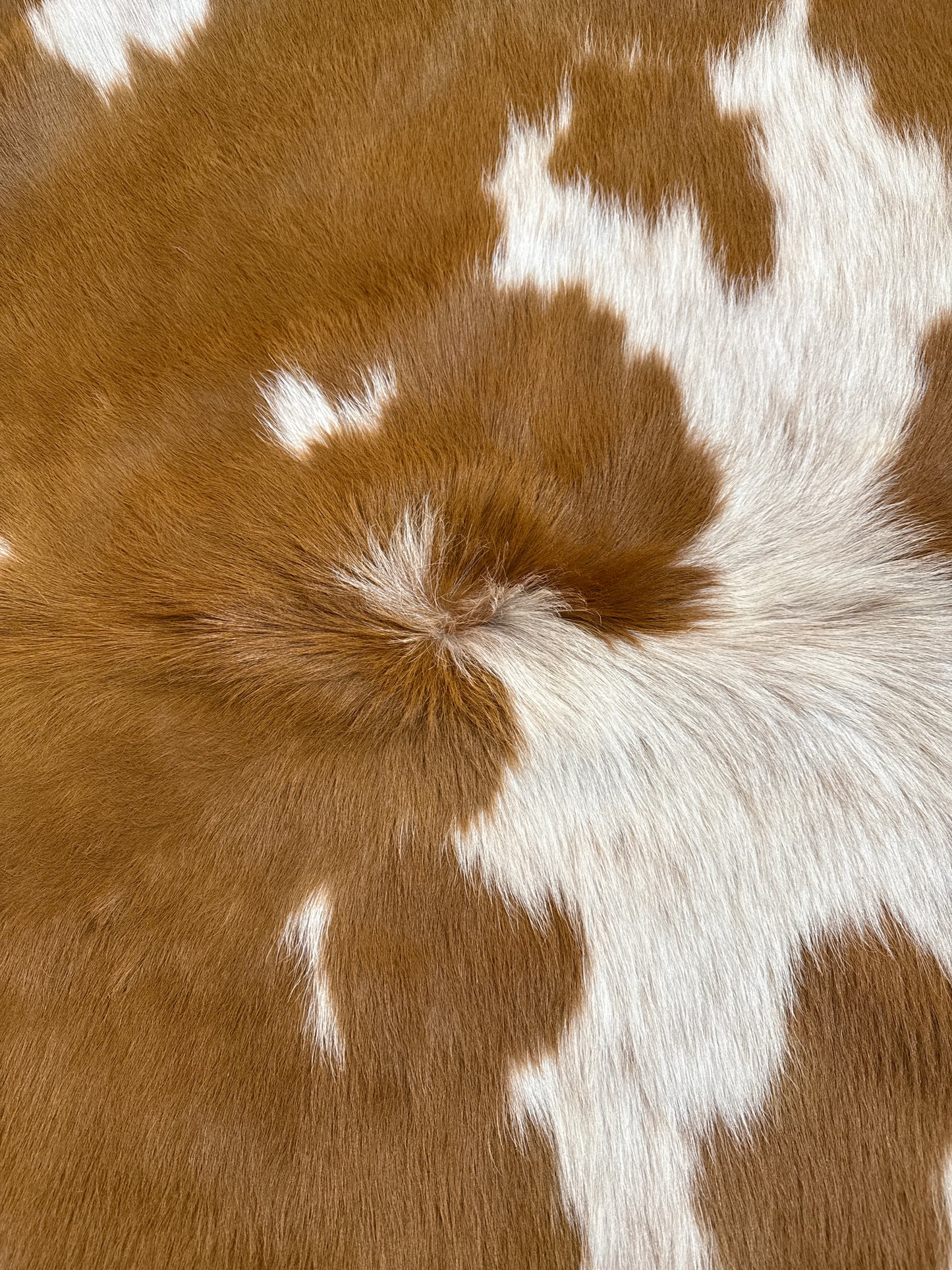 Tan And White Cowhide