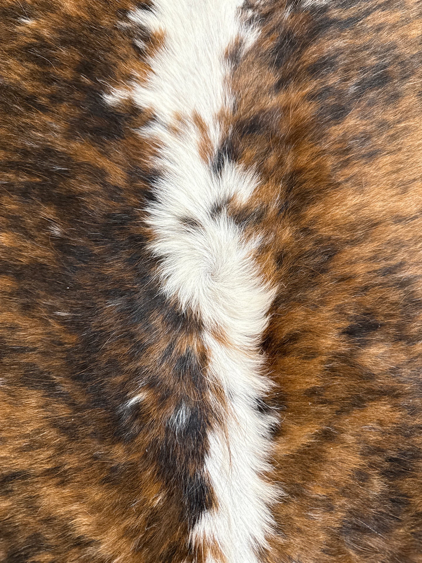 Brindle Tricolor Large Mini Cowhide