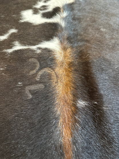 Tricolor Large Mini Cowhide