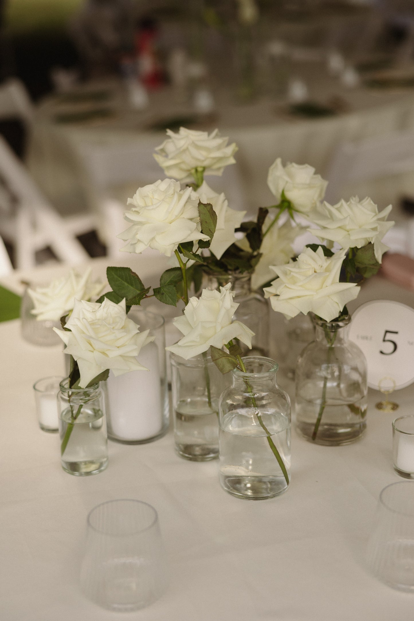 Clear Bud Vases Variety