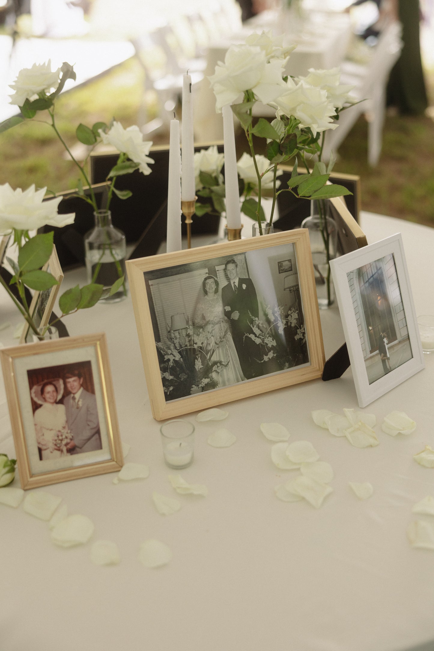 Clear Bud Vases Variety