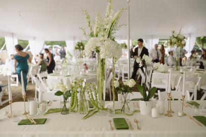 Clear Bud Vases Variety