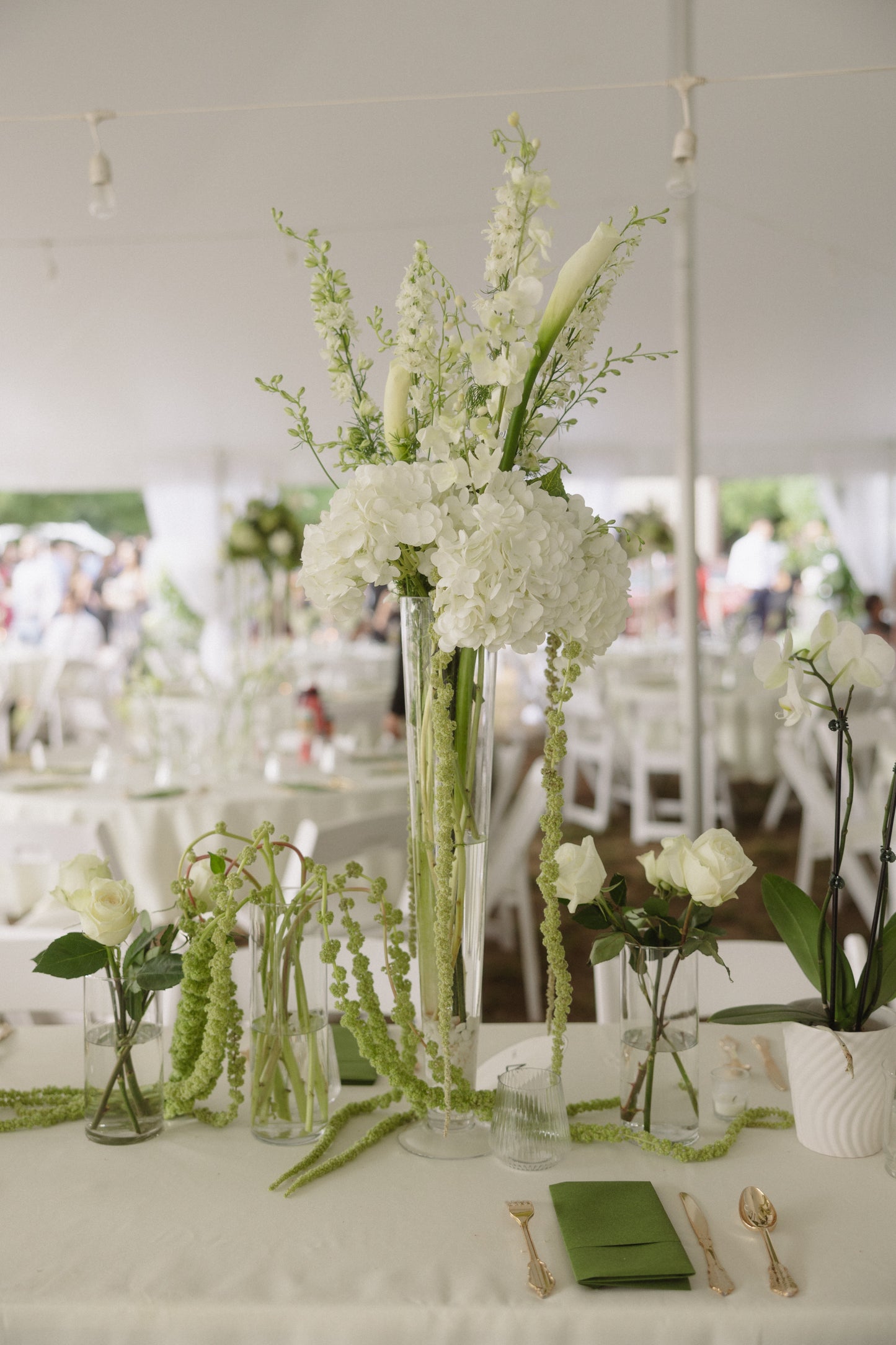 Pilsner Glass Vase Rentals