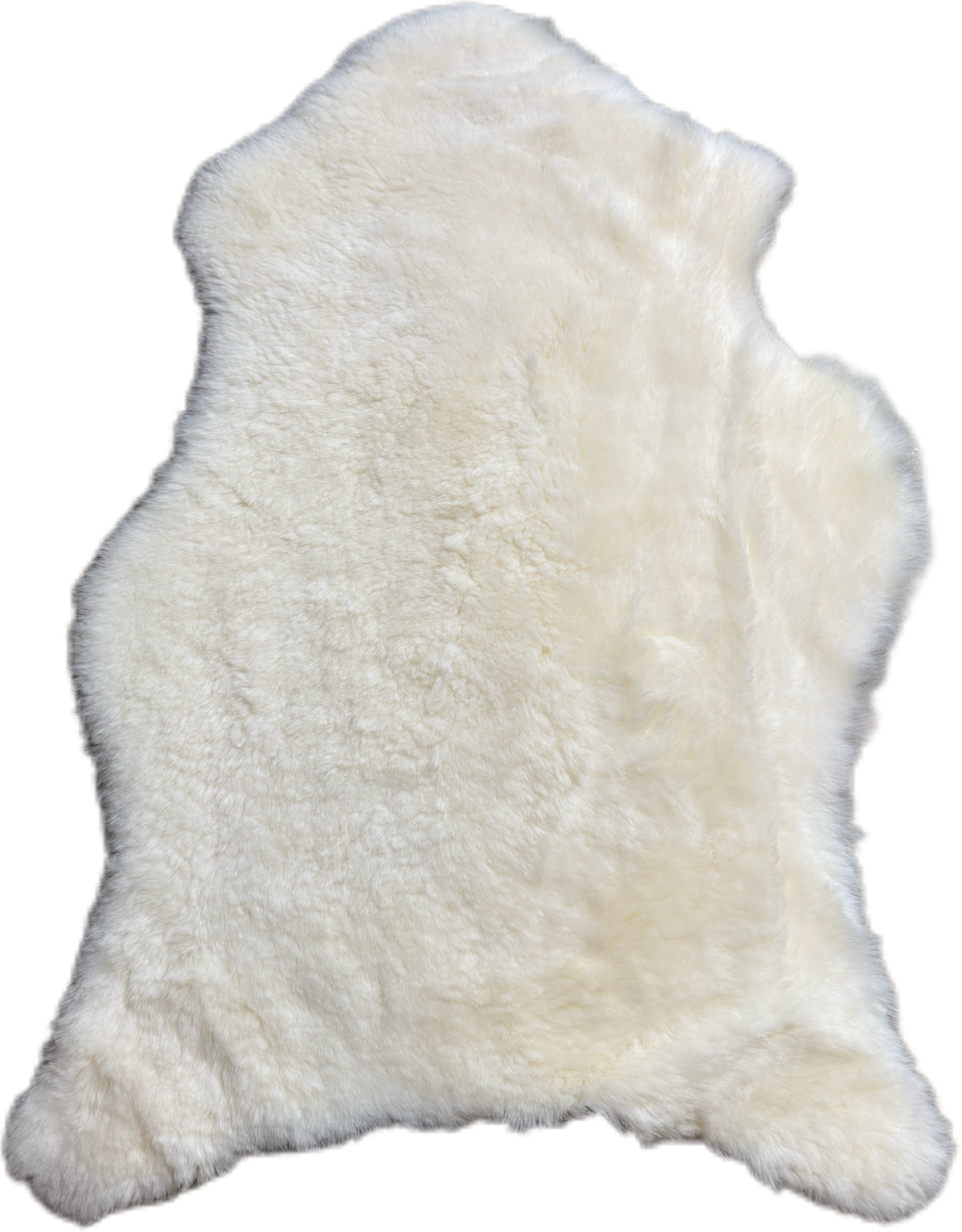 Short Wool Sheepskin Rug White