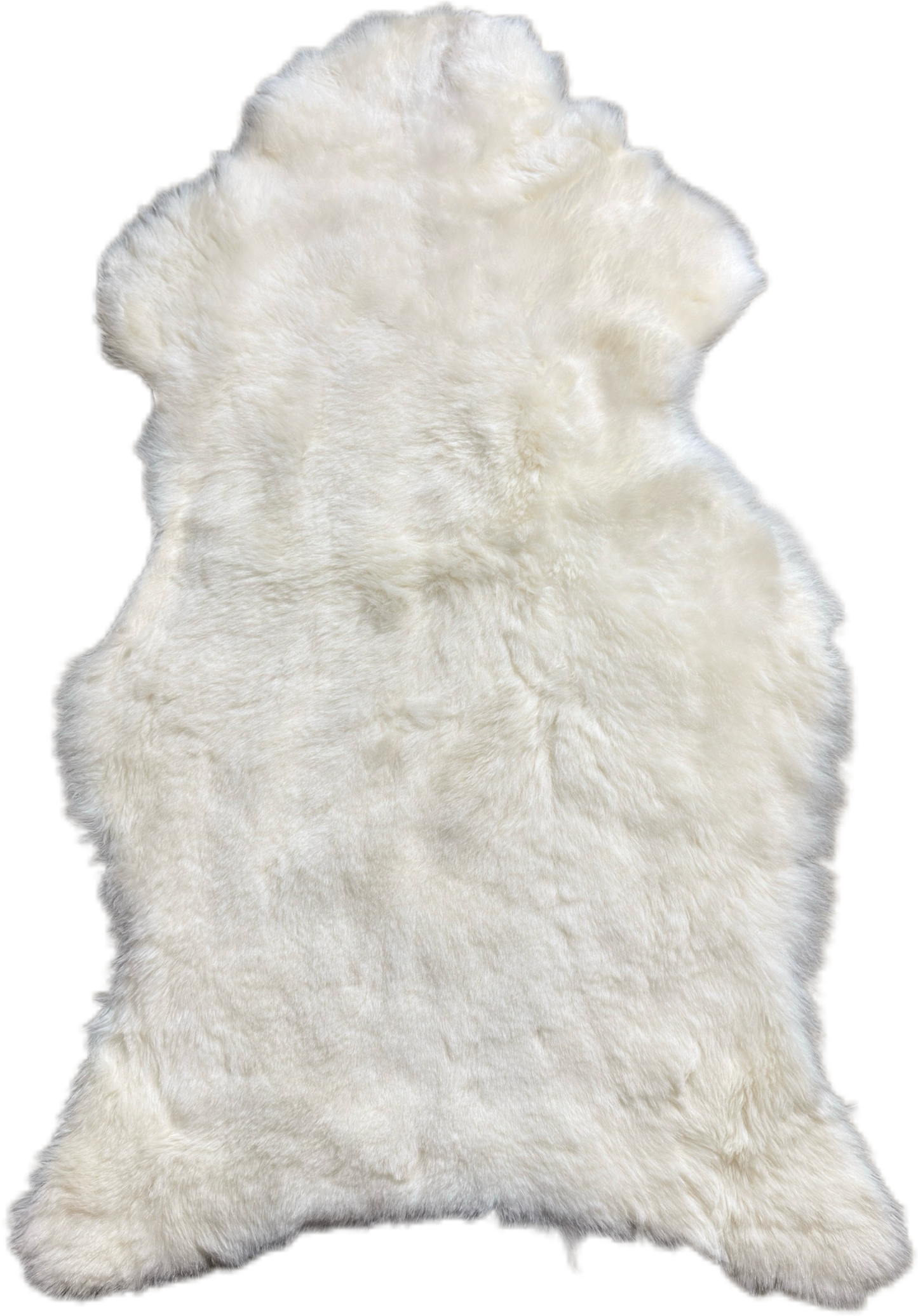 Short Wool Sheepskin Rug White