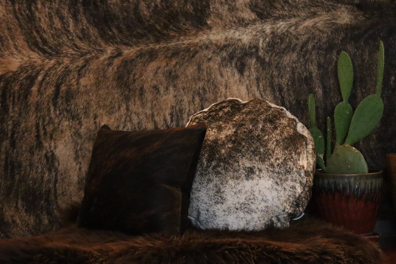 Decorative stone, pillow, and cactus on a textured surface