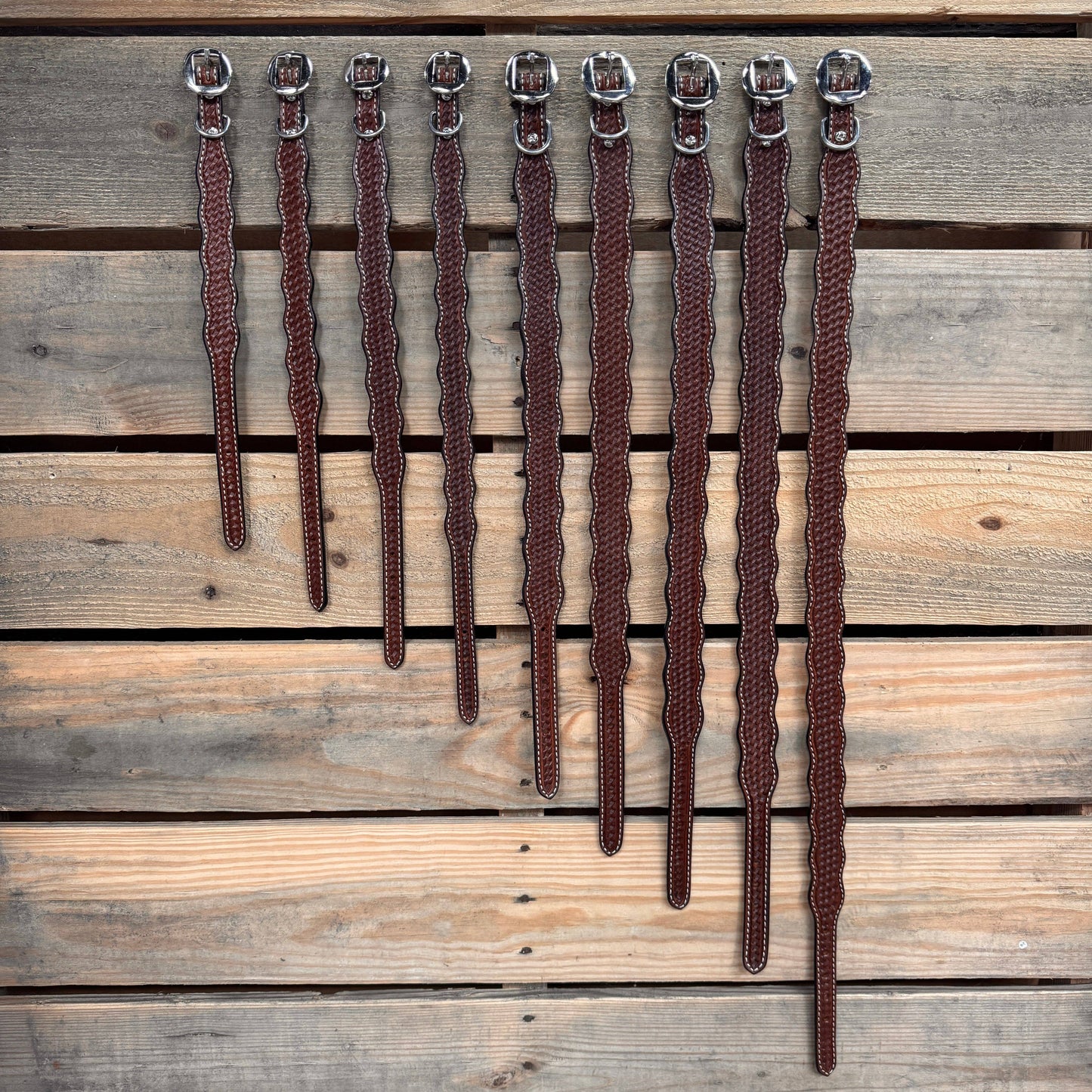 Medium Oil Genuine Leather Dog Collars Sizes 10"-28"